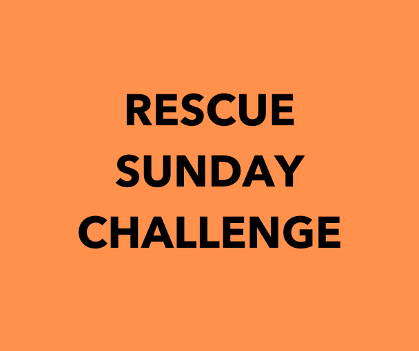 Destiny Rescue Child Trafficking Rescue Sunday Challenge The Village Christian Church Reclaimed