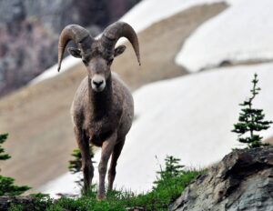 Change The Lord Will Provide The Village Christian Church